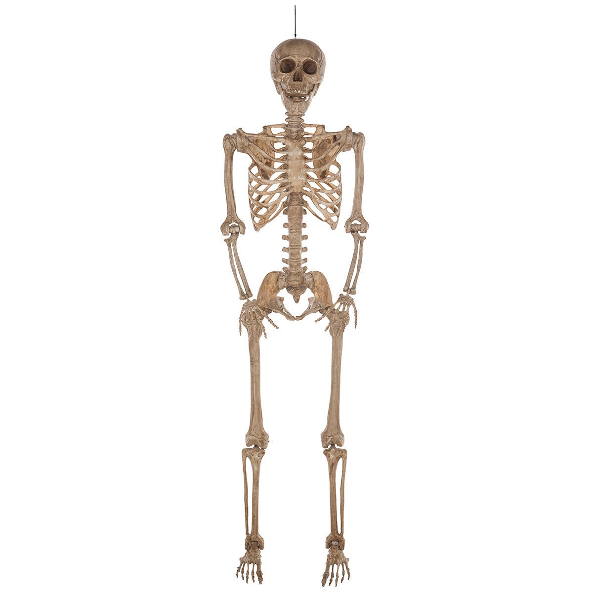 7ft Poseable Skeleton Halloween Decoration Articulated Hanging Indoor Prop