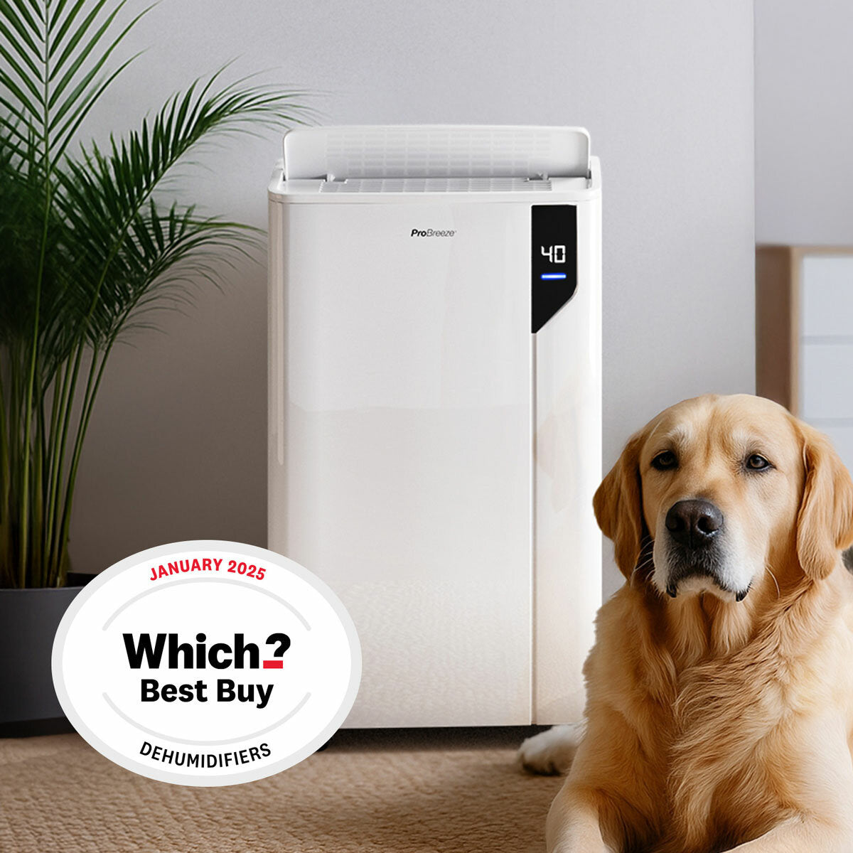 Pro Breeze 20L Dehumidifier PB-D-23-UK 500W Laundry Mode 5.5L Tank White 30m2
