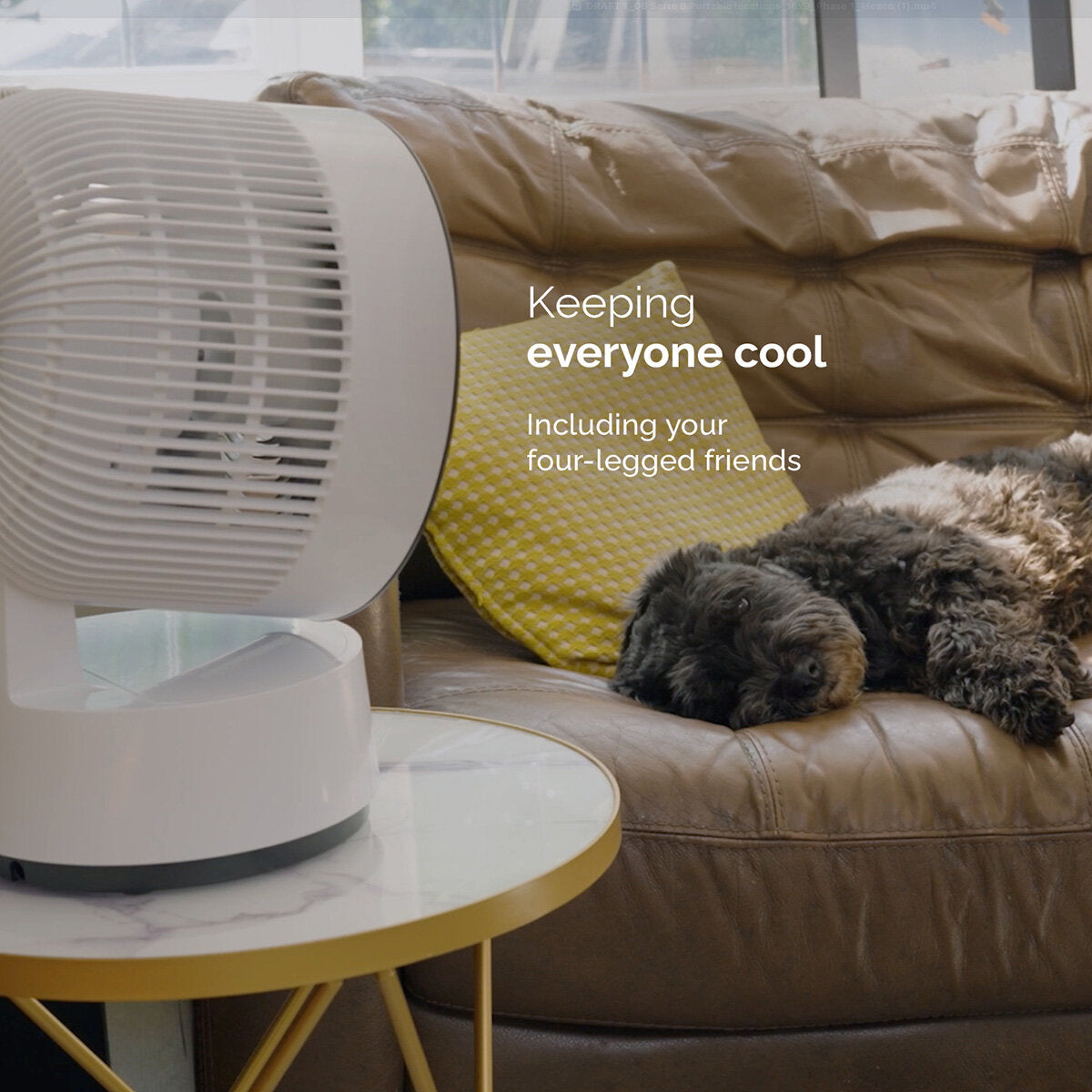 Meaco Sefte 8" Rechargeable Air Circulator Desktop Fan Cordless 12 Speed White